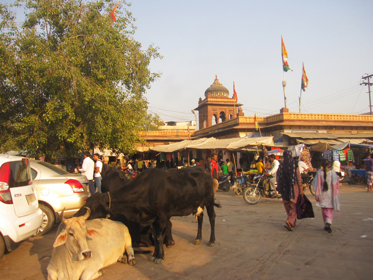 Jodhpur | Rajastán | India | StyleFeelFree” width=